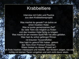 Pferde Sie basteln Pferdeuhren Und sie gucken einen Film.Sie fahren einen Tag auf den Reiterhof. Und sie hören eine CD und malen Mandalas aus. Und sie gucken Pferdebücher an.  