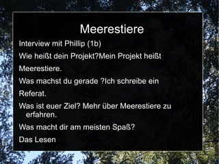 Meerestiere Interview mit Phillip (1b) Wie heißt dein Projekt?Mein Projekt heißt  Meerestiere. Was machst du gerade ?Ich schreibe ein  Referat. Was ist euer Ziel? Mehr über Meerestiere zu erfahren. Was macht dir am meisten Spaß? 