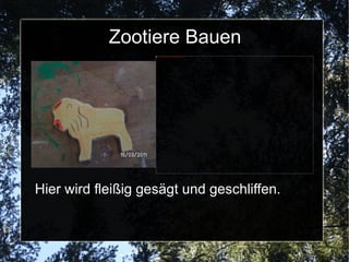 Tiere Bauen Die Kinder bauen Tiere aus Holz. Zuerst malen sie die Tiere mit Schablonen auf Holz.Dann werden sie ausgesägt.Danach schleifen sie mit Raspeln und Schleifpapier und malen sie noch an. 