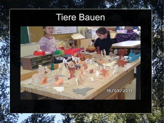 Zootiere Bauen Hier wird fleißig gesägt und geschliffen. 