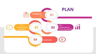 Plan Example Tp1 Présentation de projet travaux pratiqueTP.pptx