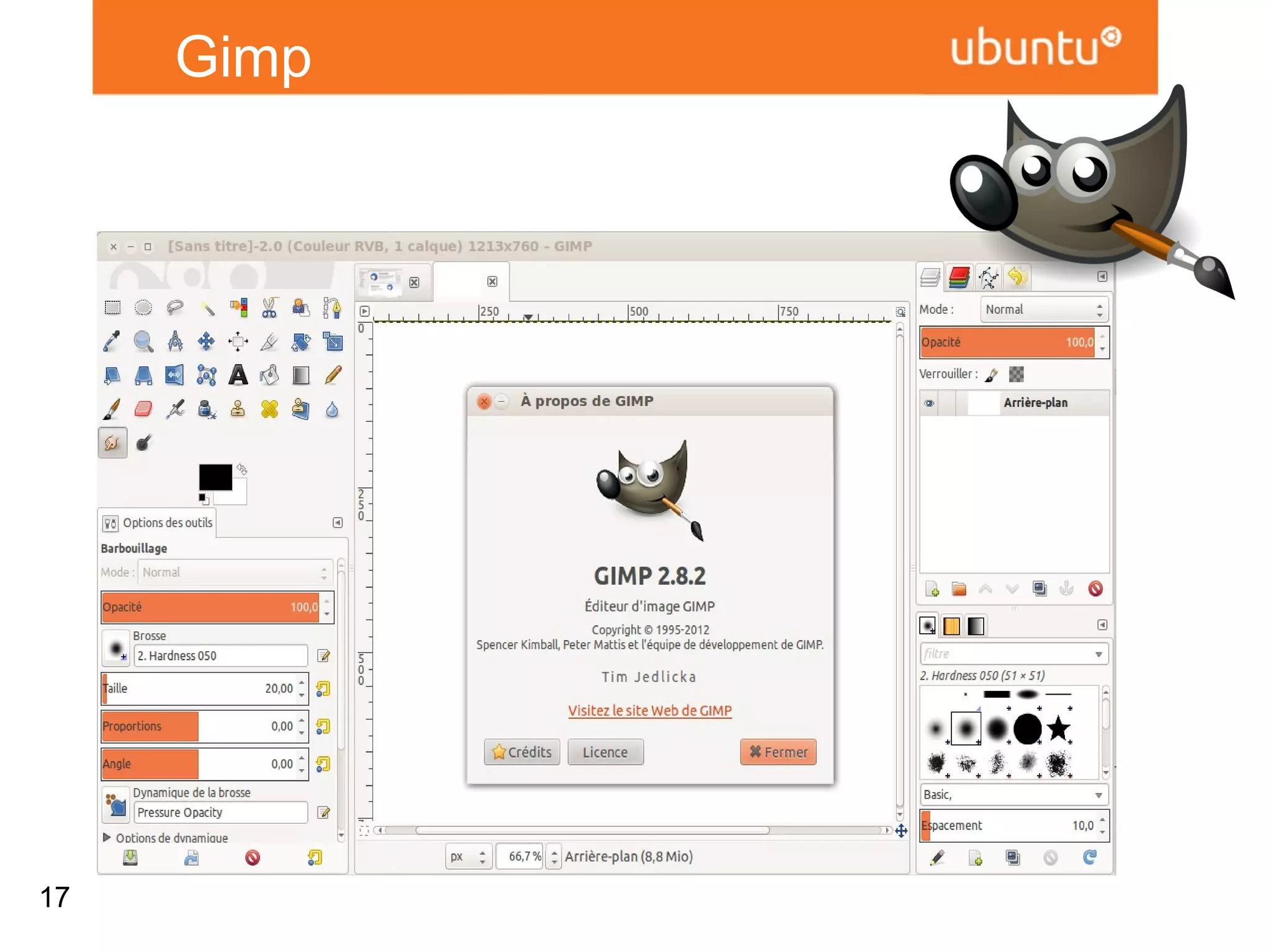 Gimp




17
 