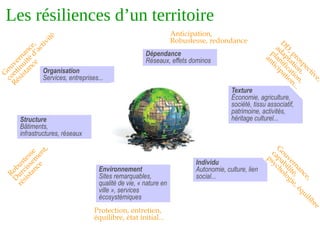 Organisation
Services, entreprises...
Structure
Bâtiments,
infrastructures, réseaux
Environnement
Sites remarquables,
qualité de vie, « nature en
ville », services
écosystémiques
Dépendance
Réseaux, effets dominos
Individu
Autonomie, culture, lien
social...
Texture
Économie, agriculture,
société, tissu associatif,
patrimoine, activités,
héritage culturel...
G
ouvernance,
continuité
d’activité
Résistance
Robustesse
D
urcissem
ent,
résistance
Anticipation,
Robustesse, redondance
D
D
,prospective,
adaptation,
planification,
anticipation...
G
ouvernance,
capabilité,
psychologie,équilibre
Protection, entretien,
équilibre, état initial...
Les résiliences d’un territoire
 