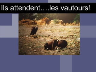 Ils attendent….les vautours!
 