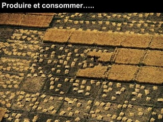 Produire et consommer…..
 