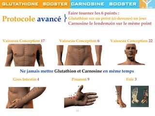 Faire tourner les 6 points :Glutathionsur un point (ci-dessous) un jourCarnosine le lendemain sur le même pointProtocole avancé Vaisseau Conception 17Vaisseau Conception 6Vaisseau Conception 22Ne jamais mettre Glutathion et Carnosine en même tempsGros Intestin 4Poumon 9Foie 311