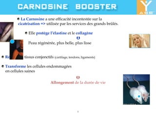  La Carnosine a une efficacité incontestée sur lacicatrisation => utilisée par les services des grands brûlés. Elle protègel’élastine et le collagène				    Peau régénérée, plus belle, plus lisse Répare les tissus conjonctifs (cartilage, tendons, ligaments)Transforme les cellules endommagées  en cellules saines Allongement de la durée de vie8