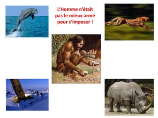 L’Homme n’était
pas le mieux armé
pour s’imposer !
 