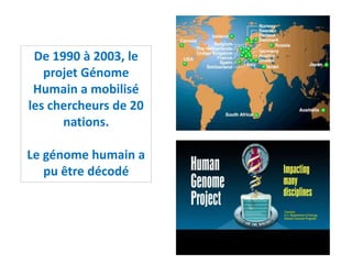 De 1990 à 2003, le
projet Génome
Humain a mobilisé
les chercheurs de 20
nations.
Le génome humain a
pu être décodé
 