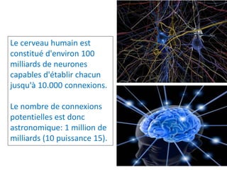 Le cerveau humain est
constitué d'environ 100
milliards de neurones
capables d'établir chacun
jusqu'à 10.000 connexions.
Le nombre de connexions
potentielles est donc
astronomique: 1 million de
milliards (10 puissance 15).
 