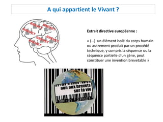 A qui appartient le Vivant ?
Extrait directive européenne :
« (…) un élément isolé du corps humain
ou autrement produit par un procédé
technique, y compris la séquence ou la
séquence partielle d'un gène, peut
constituer une invention brevetable »
 