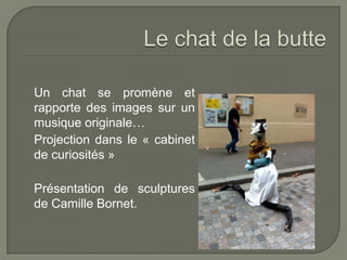 Un chat se promène et
rapporte des images sur un
musique originale…
Projection dans le « cabinet
de curiosités »

Présentation de sculptures
de Camille Bornet.
 
