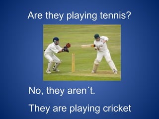Are they playing tennis?
No, they aren´t.
They are playing cricket