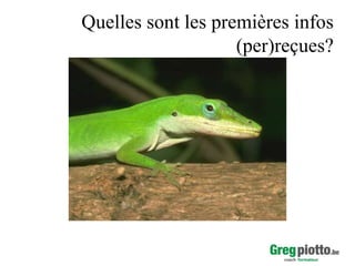 Quelles sont les premières infos
(per)reçues?

 