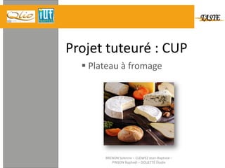 Projet tuteuré : CUP  ,[object Object],BRENON Solenne – CLOWEZ Jean-Baptiste – PINSON Raphaël – DOUETTÉ Élodie 