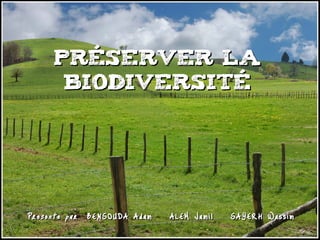 Préserver la
      Biodiversité




Presente par BENSOUDA Adam – ALEM Jamil – SAYERH Wassim