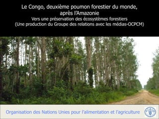 Le Congo, deuxième poumon forestier du monde,
                      après l’Amazonie
            Vers une préservation des écosystèmes forestiers
    (Une production du Groupe des relations avec les médias-OCPCM)




Organisation des Nations Unies pour l’alimentation et l’agriculture
 