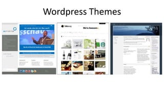 Wordpress Themes 
 