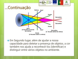 …Continuação




    Em Segundo lugar, além de ajudar a nossa
     capacidade para detetar a presença de objetos, a cor
     também nos ajuda a reconhecê-los (identificar) e
     distinguir entre vários objetos no ambiente.
 