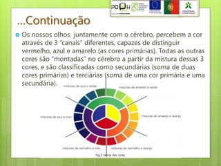 …Continuação
   Os nossos olhos juntamente com o cérebro, percebem a cor
    através de 3 “canais” diferentes, capazes de distinguir
    vermelho, azul e amarelo (as cores primárias). Todas as outras
    cores são “montadas” no cérebro a partir da mistura dessas 3
    cores, e são classificadas como secundárias (soma de duas
    cores primárias) e terciárias (soma de uma cor primária e uma
    secundária).




                             Fig.1: teoria das cores
 