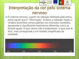 Interpretação da cor pelo sistema
                 nervoso
   O sistema nervoso, a partir da radiação detetada pela retina,
    extrai aquilo que é “informação”. Embora a radiação mude, o
    cérebro reconhece certos padrões nos estímulos recebidos,
    agrupando e classificando fenómenos diferentes como se
    fossem iguais. O que vemos não é exatamente “o que está lá
    fora”, mas corresponde a um modelo simplificado da
    realidade.
 