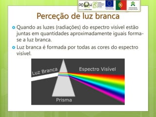 Perceção de luz branca
 Quando as luzes (radiações) do espectro visível estão
  juntas em quantidades aproximadamente iguais forma-
  se a luz branca.
 Luz branca é formada por todas as cores do espectro
  visível.
 