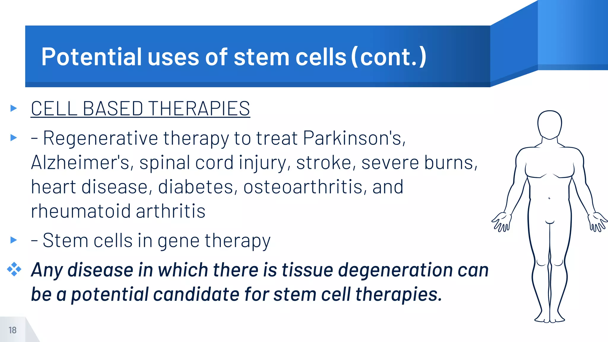 Potential uses of stem cells (cont.)
▸ CELL BASED THERAPIES
▸ - Regenerative therapy to treat Parkinson's,
Alzheimer's, spinal cord injury, stroke, severe burns,
heart disease, diabetes, osteoarthritis, and
rheumatoid arthritis
▸ - Stem cells in gene therapy
 Any disease in which there is tissue degeneration can
be a potential candidate for stem cell therapies.
18
 
