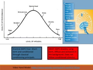 (Central AMY) Fear: Short-
term and conditioned
through classical
conditioning principals.
(BNST AMY) Anxiety: Long-
term, diffuse and activated in
the background. Does not
follow conditioned stimulus.
Video Hand Model: https://www.youtube.com/watch?v=gm9CIJ74Oxw
 