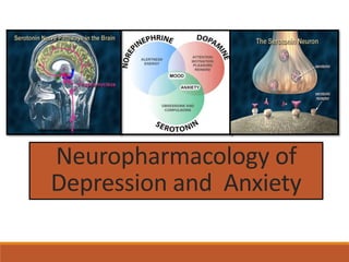 Neuropharmacology of
Depression and Anxiety
 