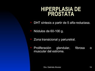 HIPERPLASIA DE PRÓSTATA DHT síntesis a partir de 5 alfa-reductasa. Nódulos de 60-100 g. Zona transicional y periuretral. Proliferación glandular, fibrosa o muscular del estroma. 