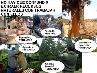 NO HAY QUE CONFUNDIR
EXTRAER RECURSOS
NATURALES CON TRABAJAR
CON ELLOS
Guarda
forestal
TERCIARIO
Pescadero
TERCIARIO
Pescador
PRIMARIO
Apicultor
PRIMARIO
Extracción
de corcho
PRIMARIO
 