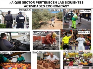 ¿A QUÉ SECTOR PERTENECEN LAS SIGUIENTES
ACTIVIDADES ECONÓMICAS?
IMAGEN A IMAGEN B
IMAGEN EIMAGEN D
IMAGEN C
IMAGEN F
IMAGEN G IMAGEN H IMAGEN I
 