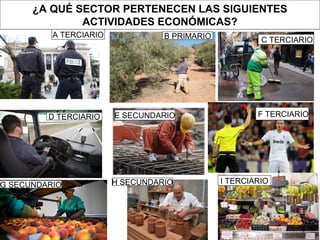 ¿A QUÉ SECTOR PERTENECEN LAS SIGUIENTES
ACTIVIDADES ECONÓMICAS?
A TERCIARIO B PRIMARIO
E SECUNDARIOD TERCIARIO
C TERCIARIO
F TERCIARIO
G SECUNDARIO H SECUNDARIO I TERCIARIO
 