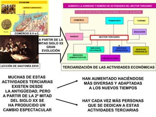 MUCHAS DE ESTAS
ACTIVIDADES TERCIARIAS
EXISTEN DESDE
LA ANTIGÜEDAD, PERO
A PARTIR DE LA 2ª MITAD
DEL SIGLO XX SE
HA PRODUCIDO UN
CAMBIO ESPECTACULAR
HAN AUMENTADO HACIÉNDOSE
MÁS DIVERSAS Y ADAPTADAS
A LOS NUEVOS TIEMPOS
HAY CADA VEZ MÁS PERSONAS
QUE SE DEDICAN A ESTAS
ACTIVIDADES TERCIARIAS
LECCIÓN DE ANATOMÍA SXVII
COMERCIO S.V a.C.
TERCIARIZACIÓN DE LAS ACTIVIDADES ECONÓMICAS
A PARTIR DE LA
MITAD SIGLO XX
GRAN
EVOLUCIÓN
AUMENTA LA VARIEDAD Y NÚMERO DE ACTIVIDADES DEL SECTOR TERCIARIO
 