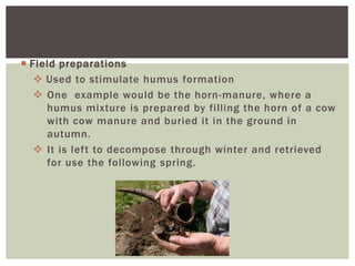  Field preparations
 Used to stimulate humus formation
 One example would be the horn-manure, where a
humus mixture is prepared by filling the horn of a cow
with cow manure and buried it in the ground in
autumn.
 It is left to decompose through winter and retrieved
for use the following spring.
 