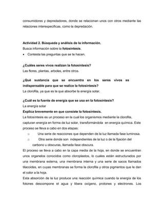 consumidores y depredadores, donde se relacionan unos con otros mediante las
relaciones interespecificas, como la depredación.
Actividad 2. Búsqueda y análisis de la información.
Busca información sobre la fotosíntesis.
 Contesta las preguntas que se te hacen.
¿Cuáles seres vivos realizan la fotosíntesis?
Las flores, plantas, arboles, entre otros.
¿Qué sustancia que se encuentra en los seres vivos es
indispensable para que se realice la fotosíntesis?
La clorofila, ya que es la que absorbe la energía solar.
¿Cuál es la fuente de energía que se usa en la fotosíntesis?
La energía solar
Explica brevemente en que consiste la fotosíntesis.
La fotosíntesis es un proceso en la cual los organismos mediante la clorofila,
capturan energía en forma de luz solar, transformándola en energía química. Este
proceso se lleva a cabo en dos etapas:
o Una serie de reacciones que dependen de la luz llamada fase luminosa.
o Otra serie donde son independientes de la luz o de la fijación del
carbono u obscuras, llamada fase obscura.
El proceso se lleva a cabo en la capa media de la hoja, en donde se encuentran
unos organelos conocidos como cloroplastos, lo cuales están estructurados por
una membrana externa, una membrana interna y una serie de sacos llamados
tilacoides, en cuyas membranas se forma la clorofila y otros pigmentos que le dan
el color a la hoja.
Esta absorción de la luz produce una reacción química cuando la energía de los
fotones descompone el agua y libera oxígeno, protones y electrones. Los
 