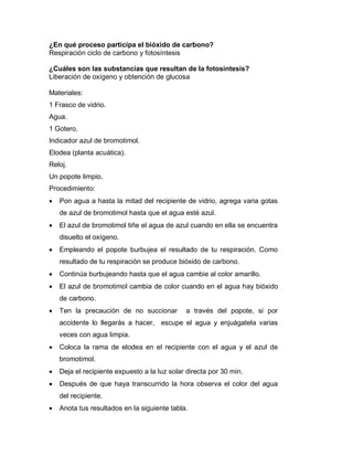 ¿En qué proceso participa el bióxido de carbono?
Respiración ciclo de carbono y fotosíntesis
¿Cuáles son las substancias que resultan de la fotosíntesis?
Liberación de oxígeno y obtención de glucosa
Materiales:
1 Frasco de vidrio.
Agua.
1 Gotero.
Indicador azul de bromotimol.
Elodea (planta acuática).
Reloj.
Un popote limpio.
Procedimiento:
 Pon agua a hasta la mitad del recipiente de vidrio, agrega varia gotas
de azul de bromotimol hasta que el agua esté azul.
 El azul de bromotimol tiñe el agua de azul cuando en ella se encuentra
disuelto el oxígeno.
 Empleando el popote burbujea el resultado de tu respiración. Como
resultado de tu respiración se produce bióxido de carbono.
 Continúa burbujeando hasta que el agua cambie al color amarillo.
 El azul de bromotimol cambia de color cuando en el agua hay bióxido
de carbono.
 Ten la precaución de no succionar a través del popote, si por
accidente lo llegarás a hacer, escupe el agua y enjuágatela varias
veces con agua limpia.
 Coloca la rama de elodea en el recipiente con el agua y el azul de
bromotimol.
 Deja el recipiente expuesto a la luz solar directa por 30 min.
 Después de que haya transcurrido la hora observa el color del agua
del recipiente.
 Anota tus resultados en la siguiente tabla.
 