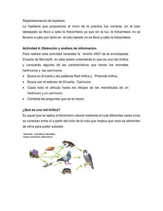 Replanteamiento de hipótesis:
La hipótesis que propusimos al inicio de la práctica fue correcta, en el tubo
destapado se llevó a cabo la fotosíntesis ya que sin la luz, la fotosíntesis no se
llevaría a cabo por tanto en el tubo tapado no se llevó a cabo la fotosíntesis.
Actividad 4. Obtención y análisis de información.
Para realizar esta actividad necesitas la versión 2007 de la enciclopedia
Encarta de Microsoft, en esta sesión entenderás lo que es una red trófica
y conocerás algunas de las características que tienen los animales
herbívoros y los carnívoros.
 Busca en Encarta y las palabras Red trófica y Pirámide trófica.
 Busca con el selector de Encarta, Carnívoro
 Copia todo el artículo hasta los dibujos de las mandíbulas de un
herbívoro y un carnívoro.
 Contesta las preguntas que se te hacen.
¿Qué es una red trófica?
Es aquel que se aplica al fenómeno natural mediante el cual diferentes seres vivos
se conectan entre sí a partir del ciclo de la vida que implica que unos se alimenten
de otros para poder subsistir.
 