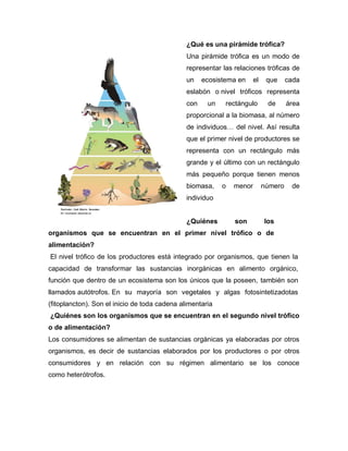 ¿Qué es una pirámide trófica?
Una pirámide trófica es un modo de
representar las relaciones tróficas de
un ecosistema en el que cada
eslabón o nivel tróficos representa
con un rectángulo de área
proporcional a la biomasa, al número
de individuos… del nivel. Así resulta
que el primer nivel de productores se
representa con un rectángulo más
grande y el último con un rectángulo
más pequeño porque tienen menos
biomasa, o menor número de
individuo
¿Quiénes son los
organismos que se encuentran en el primer nivel trófico o de
alimentación?
El nivel trófico de los productores está integrado por organismos, que tienen la
capacidad de transformar las sustancias inorgánicas en alimento orgánico,
función que dentro de un ecosistema son los únicos que la poseen, también son
llamados autótrofos. En su mayoría son vegetales y algas fotosintetizadotas
(fitoplancton). Son el inicio de toda cadena alimentaria
¿Quiénes son los organismos que se encuentran en el segundo nivel trófico
o de alimentación?
Los consumidores se alimentan de sustancias orgánicas ya elaboradas por otros
organismos, es decir de sustancias elaborados por los productores o por otros
consumidores y en relación con su régimen alimentario se los conoce
como heterótrofos.
 