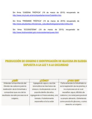 Sin firma “CADENA TRÓFICA” (19 de marzo de 2015) recuperado de
http://www.cricyt.edu.ar/enciclopedia/terminos/CadeAlim.htm
Sin firma “PIRÁMIDE TRÓFICA” (19 de marzo de 2015) recuperado de
http://www.estudiantes.info/ciencias_naturales/biologia/piramide-trofica.htm
Sin firma “ECOSISTEMA” (19 de marzo de 2015) recuperado de
http://www.biodiversidad.gob.mx/ecosistemas/quees.html
 