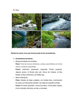 Ríos
Señala los seres vivos que forman parte de los ecosistemas.
1. Ecosistemas terrestres
o Bosque templado de coníferas
Flora: Pinos de troncos cilíndricos y rectos, perennifolios con forma
cónica, coníferas caducifolias.
Fauna: carbonero, piquituerto, reyezuelo, Pinzón purpúreo,
Jilguero pinero, el Zorzal cola rufa, Ciervo de Virginia, el Oso
baribal, el Alce americano y la Ardilla roja.
o Selva subtropical
Flora: Arboles de hojas ovaladas, con bordes lisos y terminación
en punta, son frecuentes también, las hojas de superficie amplia.
Fauna: El martín pescador, urraca tucumana, chuña patas negras,
el oco colorado, lechuzas, pumas y corzuelas.
 