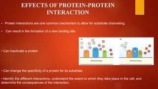 Protein protein interaction, functional proteomics | PPTX