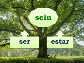 ser estar
sein
 