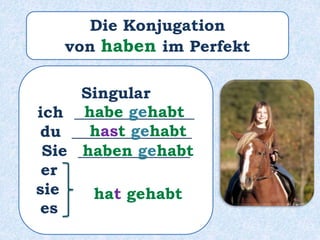 Singular
ich _______________
du _______________
Sie ______________
er ______________
sie _______________
es ______________
habe gehabt
hast gehabt
haben gehabt
hat gehabt
Die Konjugation
von haben im Perfekt
 