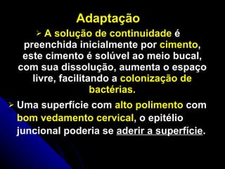 Adaptação A solução de continuidade  é preenchida inicialmente por  cimento , este cimento é solúvel ao meio bucal, com sua dissolução, aumenta o espaço livre, facilitando a  colonização de bactérias. Uma superfície com  alto polimento  com  bom vedamento cervical , o epitélio juncional poderia se  aderir a superfície .  