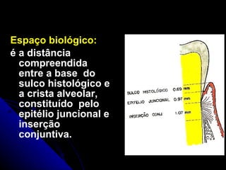 Espaço biológico:  é a distância  compreendida entre a base  do sulco histológico e a crista alveolar, constituído  pelo epitélio juncional e inserção conjuntiva. 