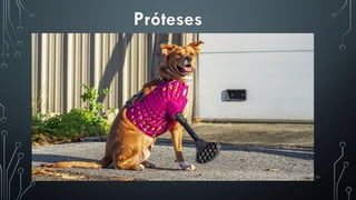 11
Próteses
 