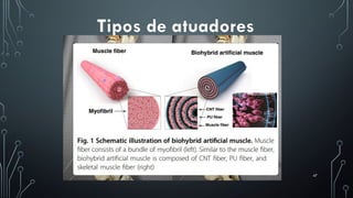 47
Tipos de atuadores
 