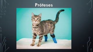 9
Próteses
 
