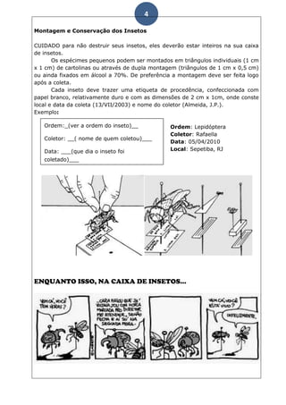 4

Montagem e Conservação dos Insetos

CUIDADO para não destruir seus insetos, eles deverão estar inteiros na sua caixa
de insetos.
       Os espécimes pequenos podem ser montados em triângulos individuais (1 cm
x 1 cm) de cartolinas ou através de dupla montagem (triângulos de 1 cm x 0,5 cm)
ou ainda fixados em álcool a 70%. De preferência a montagem deve ser feita logo
após a coleta.
       Cada inseto deve trazer uma etiqueta de procedência, confeccionada com
papel branco, relativamente duro e com as dimensões de 2 cm x 1cm, onde conste
local e data da coleta (13/VII/2003) e nome do coletor (Almeida, J.P.).
Exemplo:

   Ordem:_(ver a ordem do inseto)__             Ordem: Lepidóptera
                                                Coletor: Rafaella
   Coletor: __( nome de quem coletou)___
                                                Data: 05/04/2010
   Data: ___(que dia o inseto foi               Local: Sepetiba, RJ
   coletado)___

   Local: ___(BAIRRO que coletou o
   inseto)___




ENQUANTO ISSO, NA CAIXA DE INSETOS...
 